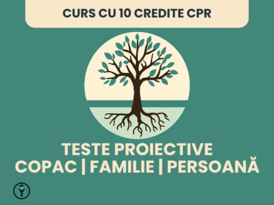 miniatură curs